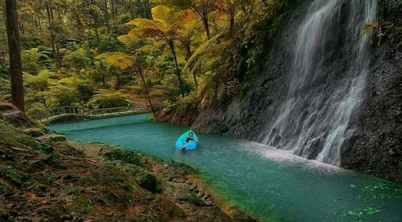 Desa di Majalengka Harus Dikunjungi saat Liburan, jika Beruntung Bisa Lihat Elang Jawa