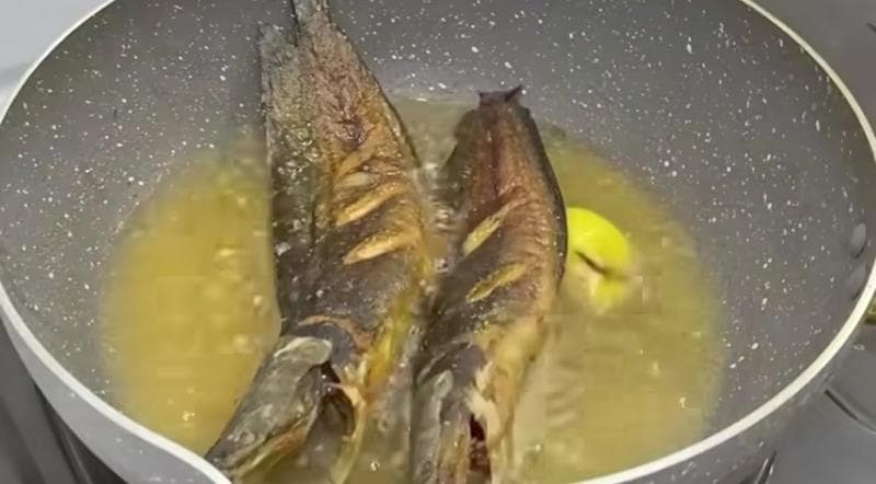 4 Fakta Menarik Cara Masak Ikan Lele, Ternyata Masih Banyak yang Belum Tahu