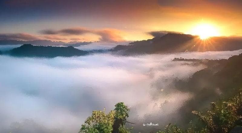 Desa di Ciamis Punya Pemandangan Cantik Mirip Negeri Dongeng, Bisa Lihat Samudera Awan