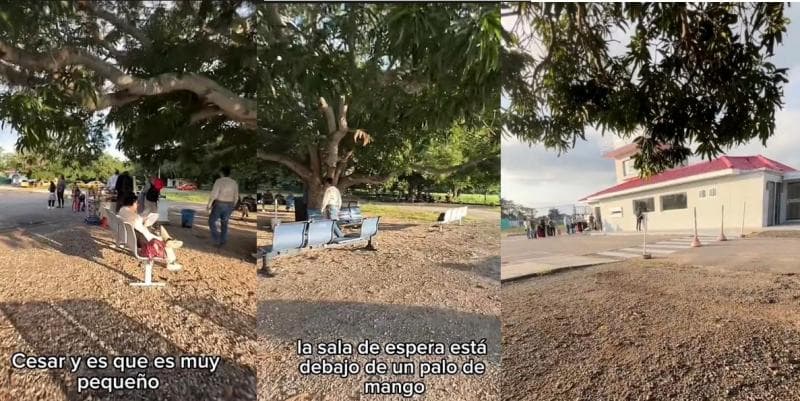 Fakta Unik Bandara Terkecil di Dunia, Ruang Tunggunya di Bawah Pohon Mangga