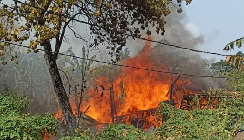 Kebakaran 3 Kandang Ternak di Jakbar, 37 Kambing Hangus Terpanggang