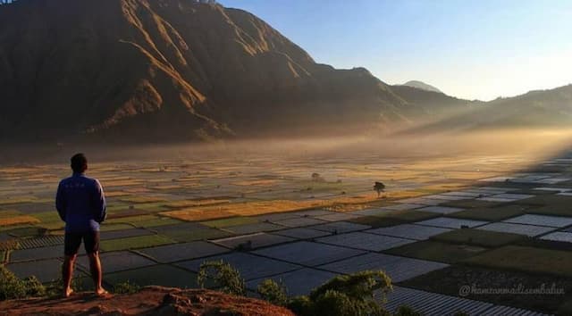 5 Pesona Desa Sembalun di Lombok Harus Dikunjungi Sebelum Ramai, Sunrisenya Cantik!