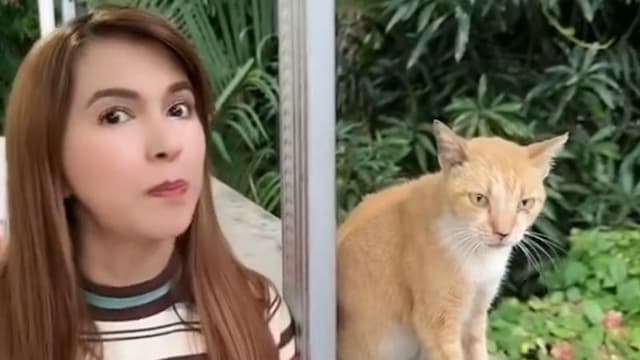 Pesan Terakhir Puput Novel sebelum Meninggal, Titip Shelter Kucing dan Anjing kepada Keluarga