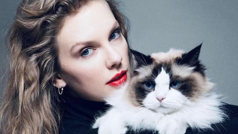 Bikin Syok! Elon Musk Beri Komentar Pedas untuk Taylor Swift: Saya Akan Memberikan Anda Anak