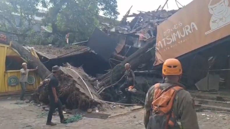 Pohon Besar Tumbang di Bandung Timpa 3 Rumah Makan dan 2 Kios, 1 Orang Dilarikan ke RS