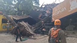 Pohon Besar Tumbang di Bandung Timpa 3 Rumah Makan dan 2 Kios, 1 Orang Dilarikan ke RS