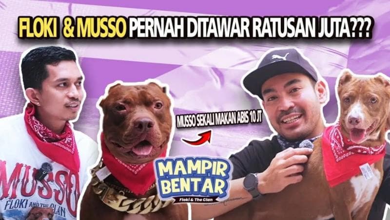 Dari Virus Parvo ke Kekuatan Ikatan, Saksikan Kisah Floki dan Shine di YouTube Robby Purba