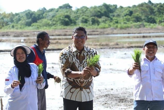 Wamentan Dorong BUMN Pangan Jadi Pusat Benih Terbesar di RI untuk Wujudkan Swasembada