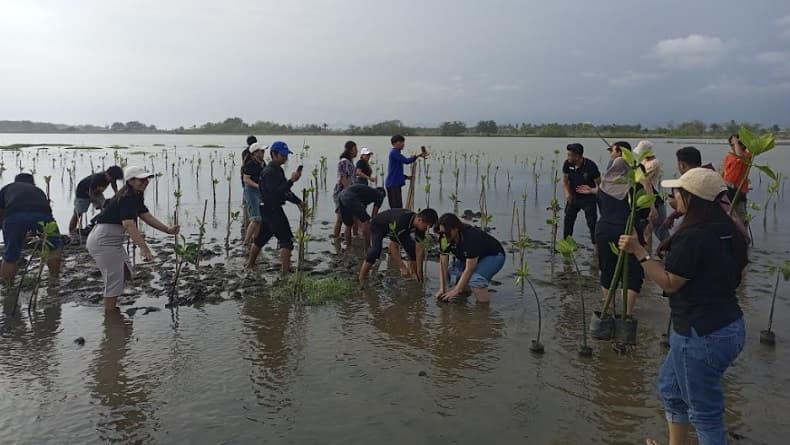 Tanam Mangrove Bersama Next Hotel, Pemuda Bantul: Penting Jaga Ekosistem dan Tanah Muara