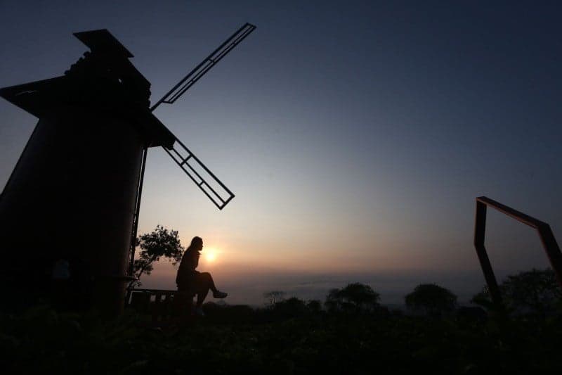 Melihat Indahnya Sunrise di Hamparan Kebun Teh Bukit Kuneer Malang