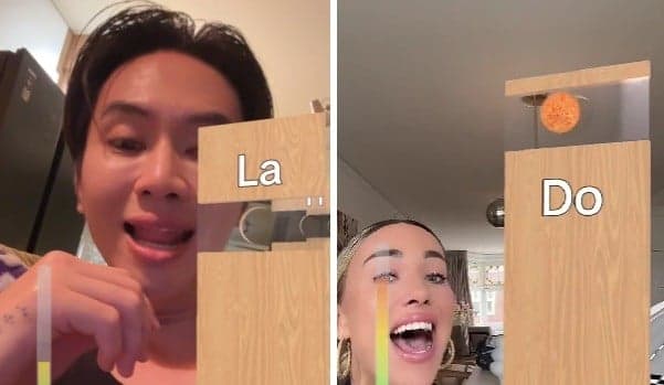 Viral Filter Perfect Pitch Challenge di TikTok, Begini Cara Mainnya