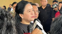 Prabowo-Megawati Segera Bertemu, Puan: Mungkin Ada Nasi Goreng Lagi