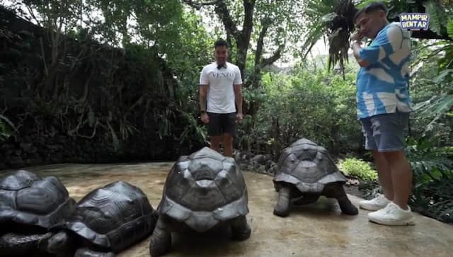 Kisah Menarik di Balik Kura-Kura Berbaris, Momen Kocak Robby Purba dan Irfan Hakim di Hutan