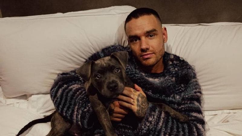 Fakta Baru! Sebelum Tewas, Liam Payne Beri Donasi untuk Anak-Anak Sakit via GoFundMe