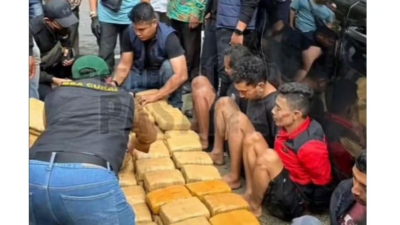 BNNP Sumbar Tangkap 5 Orang di Pasaman dan Tanah Datar, Sita 600 Kg Ganja Kering