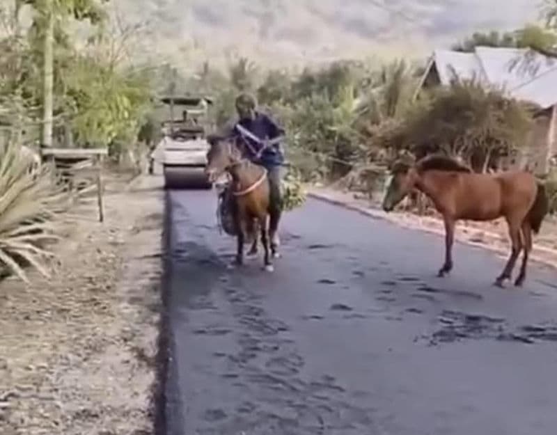 Viral Penunggang Kuda Nekat Serobot Masuk Jalan Beraspal Baru