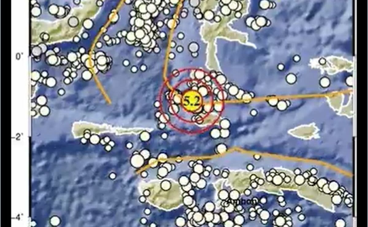 Labuha Malut Diguncang Gempa M5, BMKG: Tidak Berpotensi Tsunami