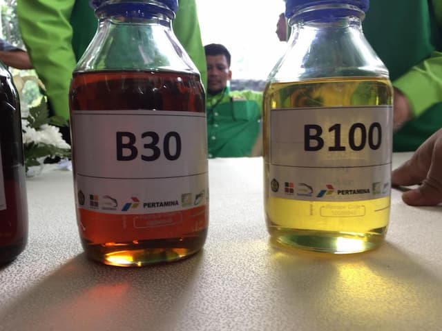 Alokasi Biodiesel 2026 Sebesar 15 Juta KL, Hemat Devisa Rp139 Triliun Alokasi Biodiesel 2026 Sebesar 15 Juta KL, Hemat Devisa Rp139 Triliun