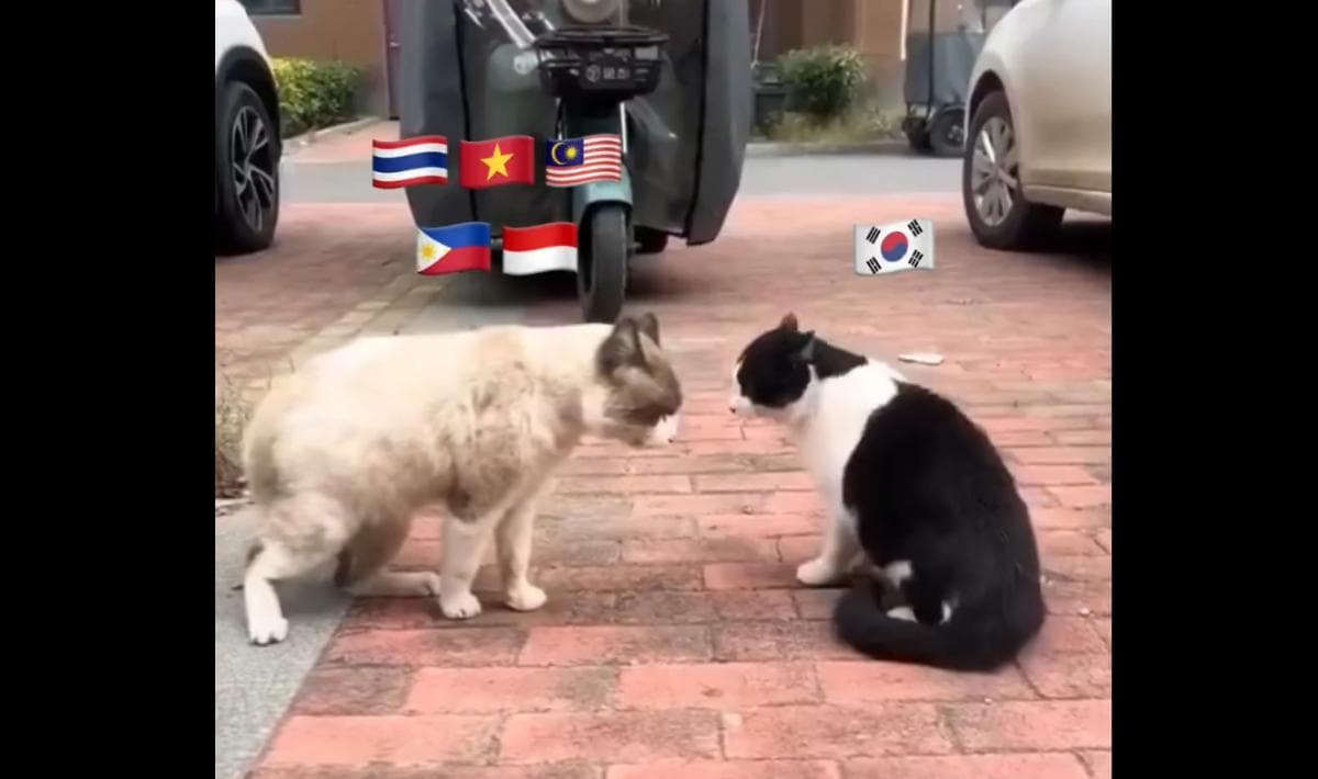 Ternyata Ini Awal Mula War Antara SEAblings vs Netizen Korea yang Viral di X Ternyata Ini Awal Mula War Antara SEAblings vs Netizen Korea yang Viral di X