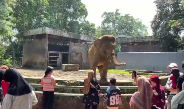 Perketat Aturan Nite Zoo, Pengelola Ragunan Bakal Usir Pengganggu Satwa hingga Pelaku Asusila Perketat Aturan Nite Zoo, Pengelola Ragunan Bakal Usir Pengganggu Satwa hingga Pelaku Asusila