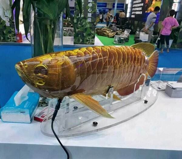 Robo-Fish, Robot Berbentuk Mirip Ikan Arwana yang Mampu Bertahan Menyusuri Air Hingga 8 Jam