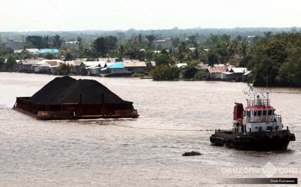 Dituduh `Ratu` Batu Bara Kaltim, Apa Kata Tan Paulin? Dituduh `Ratu` Batu Bara Kaltim, Apa Kata Tan Paulin?