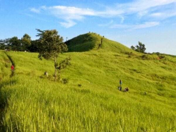 Cantiknya Bukit Alpha, Bukit Teletubbies Versi Balikpapan yang Terkenal Instagramable