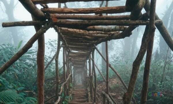 Destinasi Instagramable, Gunung Kencana Bogor Penuh Pesona