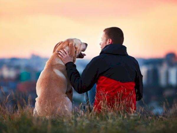 Fakta Satu Tahun Anjing Sama dengan Tujuh Tahunnya Manusia, Katanya Sih Lebih Tua! Fakta Satu Tahun Anjing Sama dengan Tujuh Tahunnya Manusia, Katanya Sih Lebih Tua!