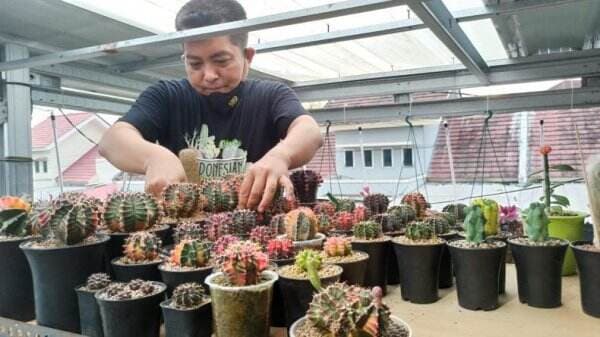 Contoh Tanaman Xerofit, Higrofit dan Hidrofit Apa Saja? Cek di Sini! Contoh Tanaman Xerofit, Higrofit dan Hidrofit Apa Saja? Cek di Sini!