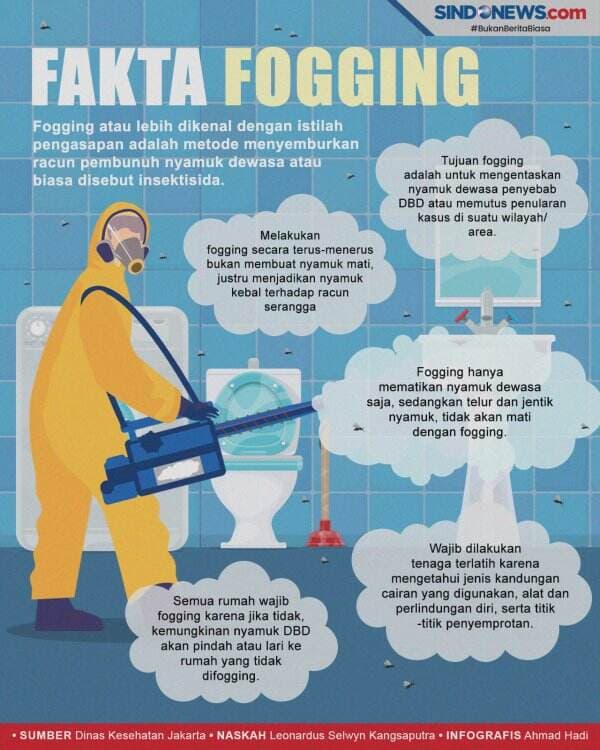 5 Fakta Penting Tentang Fogging, Pembasmian Nyamuk DBD