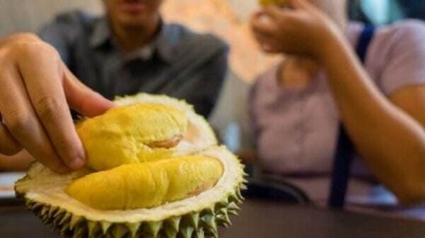 Rekomendasi 5 Tempat Makan Durian di Jakarta, Garansi Enak Dijamin Puas!