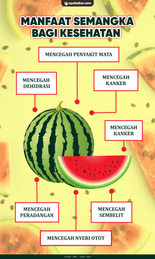 INFOGRAFIS: Manfaat Semangka Bagi Kesehtan