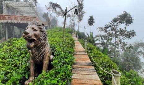 Menikmati Suasana Mistis di Perkebunan Teh Bukit Ngisis Menikmati Suasana Mistis di Perkebunan Teh Bukit Ngisis