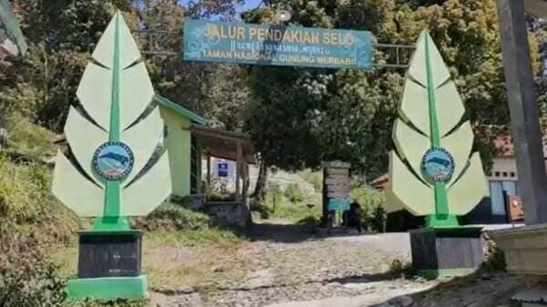 Jalur Pendakian Gunung Merbabu via Selo Boyolali Kembali Dibuka, Ini Syarat Lengkapnya