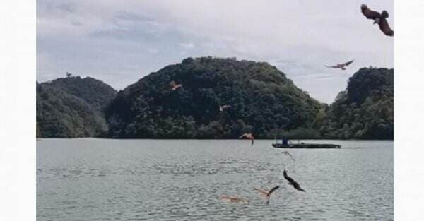 Wisata ke Pulau Langkawi dengan Kapal Pesiar, Seru Lihat Atraksi Elang