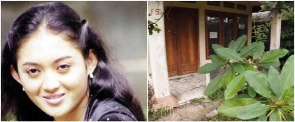 Kini terbengkalai, ini 11 potret rumah Alda Risma di Bogor