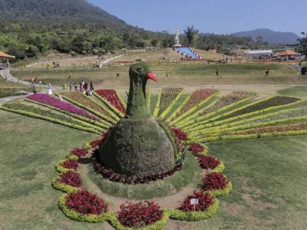 Ada Merak Raksasa di Taman Bunga Terbesar di Bali, Cantiknya Seperti di Luar Negeri Ada Merak Raksasa di Taman Bunga Terbesar di Bali, Cantiknya Seperti di Luar Negeri