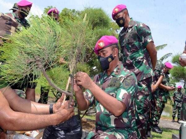 Dipercaya sebagai Pohon Kehidupan, Mengenal Pohon Avatar kok Sampai Dipilih TNI AL untuk Ditanam di Surabaya