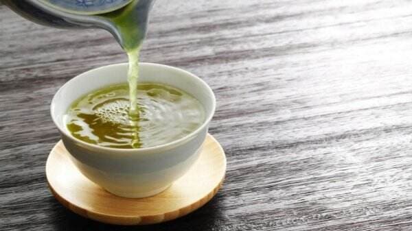 Perbedaan Matcha dan Ocha yang Dibuat dari Daun Teh yang Sama