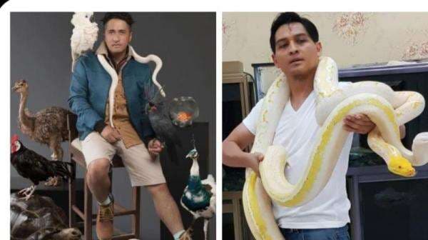 4 Artis yang Hobi Pelihara Hewan, Mengejutkan Biaya Perawatannya Mencapai Setengah Miliar per Bulan 4 Artis yang Hobi Pelihara Hewan, Mengejutkan Biaya Perawatannya Mencapai Setengah Miliar per Bulan