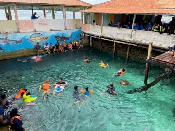 Cuma Bayar Rp10 Ribu Kamu Bisa Berenang dan Snorkling Bersama Penyu di Pulau Ini!