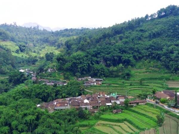 Unik! Dusun Brau, Jumlah Penduduknya Kalah Banyak Dibanding Jumlah Sapinya