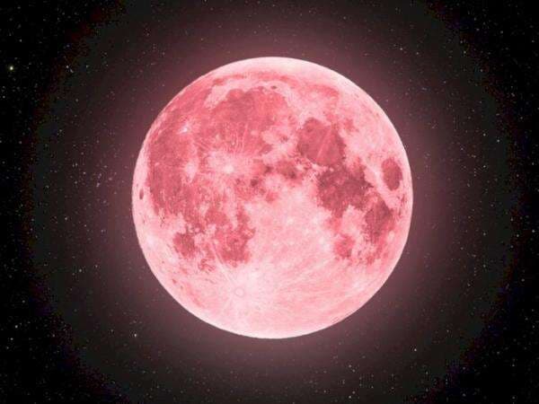 Malam Ini Kamu Bisa Melihat Pink Moon, Bulan Purnama Berwarna Merah Jambu Malam Ini Kamu Bisa Melihat Pink Moon, Bulan Purnama Berwarna Merah Jambu