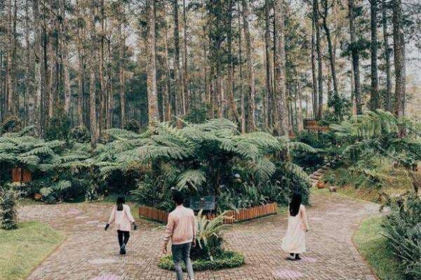 Libur Lebaran, Orchid Forest Cikole Hadirkan Wisata Alam Pet-Friendly Libur Lebaran, Orchid Forest Cikole Hadirkan Wisata Alam Pet-Friendly