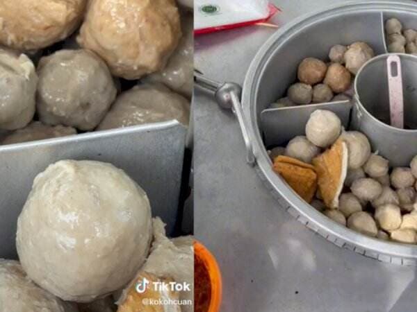 Heboh Bakso Tusuk Dihinggapi Belatung Bergerak-gerak Lincah, Penjualnya Diduga Tak Tahu