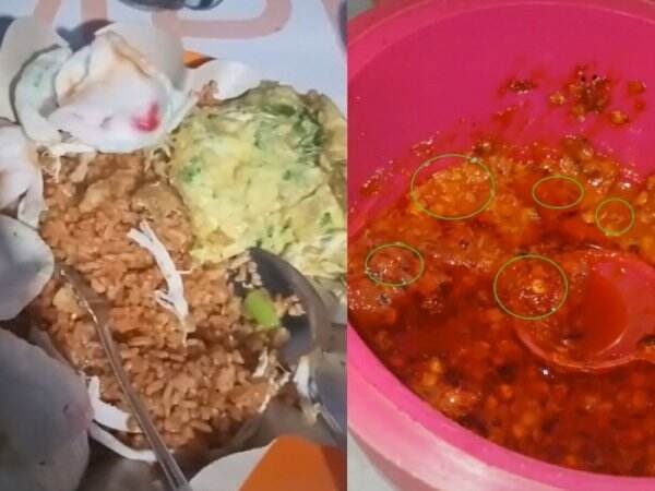 Jijik! Warganet Ini Temukan Belatung Menggeliat Dalam Sambal Nasi Goreng, Auto Gak Nafsu