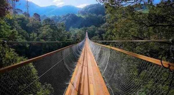 Wisata Jembatan Gantung Regganis yang Viral di Bandung, Terpanjang se-Asia Tenggara! Wisata Jembatan Gantung Regganis yang Viral di Bandung, Terpanjang se-Asia Tenggara!