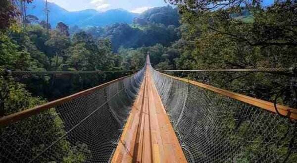 Wisata Jembatan Gantung Regganis yang Viral di Bandung, Terpanjang se-Asia Tenggara!