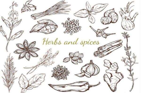 IGIS 2022 Ajak Masyarakat Promosikan Indikasi Geografis Indonesia Melalui Jurnal Kuliner IGIS 2022 Ajak Masyarakat Promosikan Indikasi Geografis Indonesia Melalui Jurnal Kuliner